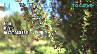 50KG খাদ্য বর্জ্য কম্পোস্টার 24H কম্পোস্ট
